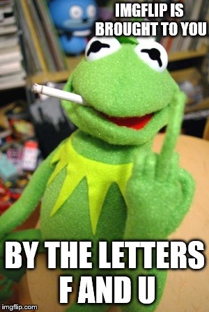 Kermit's a bit cynical these days | IMGFLIP IS BROUGHT TO YOU; BY THE LETTERS F AND U | image tagged in kermit the frog,memes | made w/ Imgflip meme maker