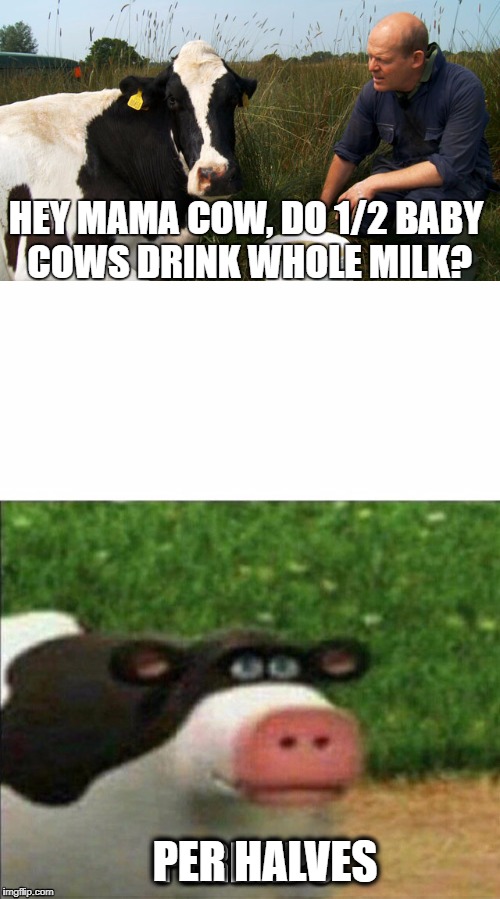 maybe they drink 1/4 milk  | HEY MAMA COW, DO 1/2 BABY COWS DRINK WHOLE MILK? PER HALVES | image tagged in cow | made w/ Imgflip meme maker