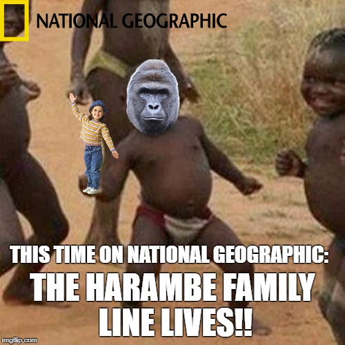 Third World Success Kid Meme | THIS TIME ON NATIONAL GEOGRAPHIC:; THE HARAMBE FAMILY LINE LIVES!! | image tagged in memes,harambe | made w/ Imgflip meme maker