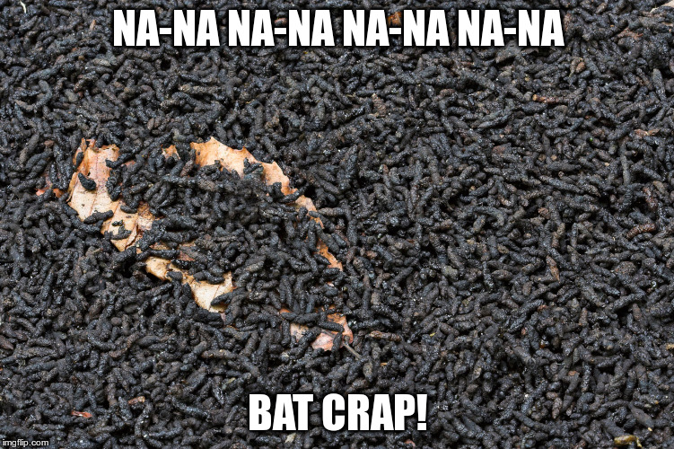 NA-NA NA-NA NA-NA NA-NA BAT CRAP! | made w/ Imgflip meme maker