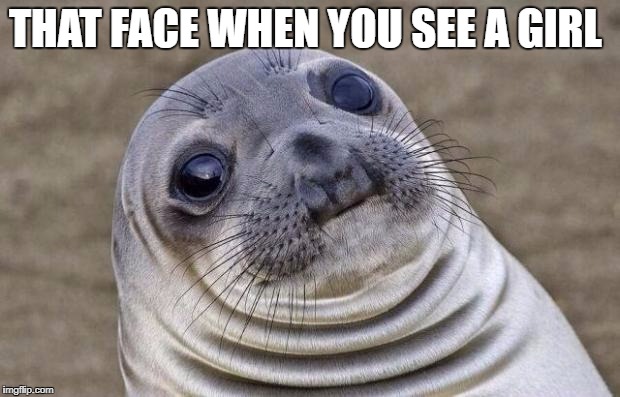 Awkward Moment Sealion | THAT FACE WHEN YOU SEE A GIRL | image tagged in memes,awkward moment sealion | made w/ Imgflip meme maker