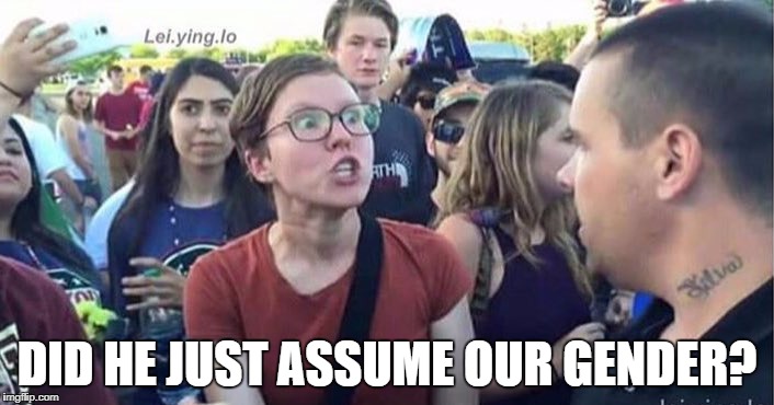 Did you just assume my gender | DID HE JUST ASSUME OUR GENDER? | image tagged in did you just assume my gender | made w/ Imgflip meme maker