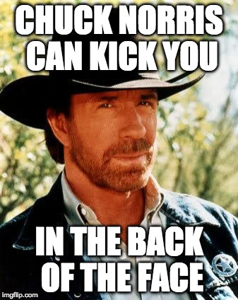 Chuck Norris Fact of the Day: | CHUCK NORRIS CAN KICK YOU; IN THE BACK OF THE FACE | image tagged in memes,chuck norris,iwanttobebacon,iwanttobebaconcom,fact of the day | made w/ Imgflip meme maker