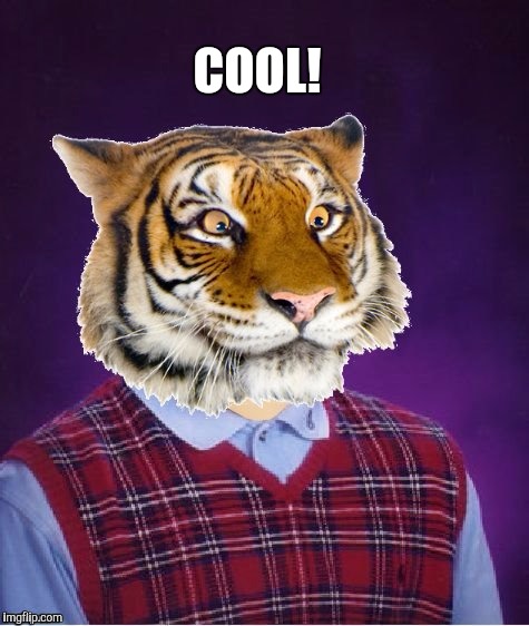 COOL! | made w/ Imgflip meme maker