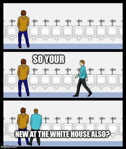 Urinal Guy | SO YOUR; NEW AT THE WHITE HOUSE ALSO? | image tagged in urinal guy | made w/ Imgflip meme maker