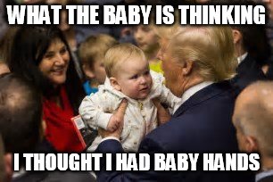 What the baby is thinking | WHAT THE BABY IS THINKING; I THOUGHT I HAD BABY HANDS | image tagged in what the baby is thinking,donald trump,baby hands,president trump,babies | made w/ Imgflip meme maker