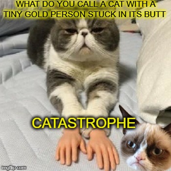 grumpy cat gives a helping hand  | WHAT DO YOU CALL A CAT WITH A TINY GOLD PERSON STUCK IN ITS BUTT; CATASTROPHE | image tagged in grumpy cat,this is where i'd put my trophy if i had one,memes,funny,cats | made w/ Imgflip meme maker