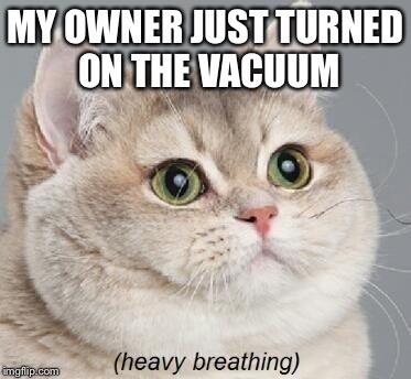 Heavy Breathing Cat | MY OWNER JUST TURNED ON THE VACUUM | image tagged in memes,heavy breathing cat | made w/ Imgflip meme maker