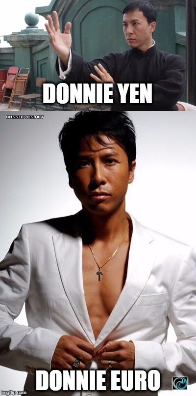Young Jackie Chan's got style | DONNIE YEN; DONNIE EURO | image tagged in donnie yen,kung fu,funny,memes,euro | made w/ Imgflip meme maker