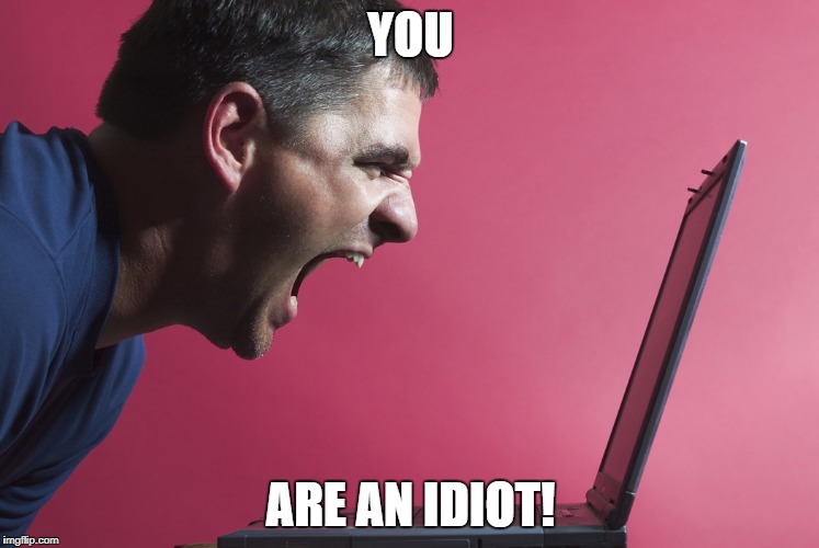 Yelling | YOU; ARE AN IDIOT! | image tagged in yelling | made w/ Imgflip meme maker