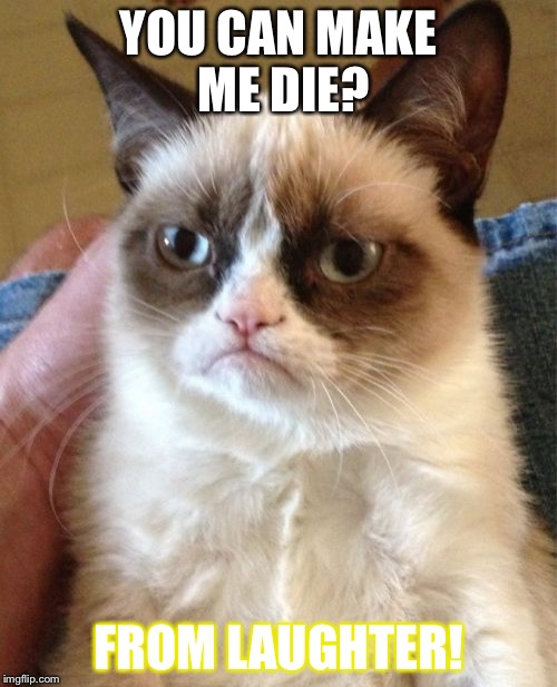 Grumpy Cat Meme | YOU CAN MAKE ME DIE? FROM LAUGHTER! | image tagged in memes,grumpy cat | made w/ Imgflip meme maker