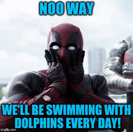 NOO WAY WE'LL BE SWIMMING WITH DOLPHINS EVERY DAY! | made w/ Imgflip meme maker