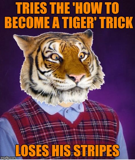 TRIES THE 'HOW TO BECOME A TIGER' TRICK LOSES HIS STRIPES | made w/ Imgflip meme maker