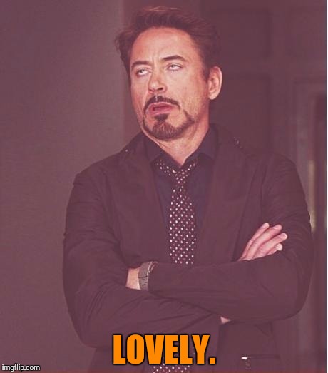 Face You Make Robert Downey Jr Meme | LOVELY. | image tagged in memes,face you make robert downey jr | made w/ Imgflip meme maker