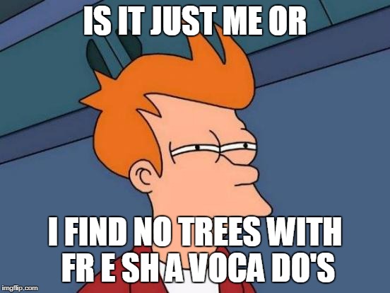 IS IT JUST ME OR I FIND NO TREES WITH FR E SH A VOCA DO'S | image tagged in memes,futurama fry | made w/ Imgflip meme maker