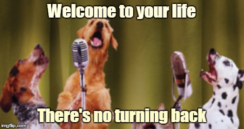 Welcome to your life There's no turning back | made w/ Imgflip meme maker