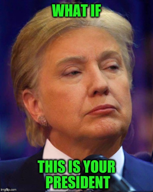 What If This Is Your President | WHAT IF; THIS IS YOUR PRESIDENT | image tagged in memes,funny,politics,donald trump,hillary clinton,president | made w/ Imgflip meme maker