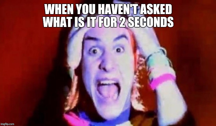 WHEN YOU HAVEN'T ASKED WHAT IS IT FOR 2 SECONDS | image tagged in mike patton epic | made w/ Imgflip meme maker