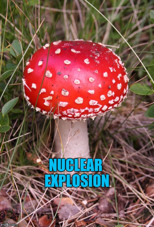 NUCLEAR EXPLOSION | made w/ Imgflip meme maker