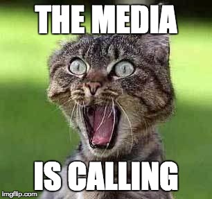Screaming cat | THE MEDIA; IS CALLING | image tagged in screaming cat | made w/ Imgflip meme maker