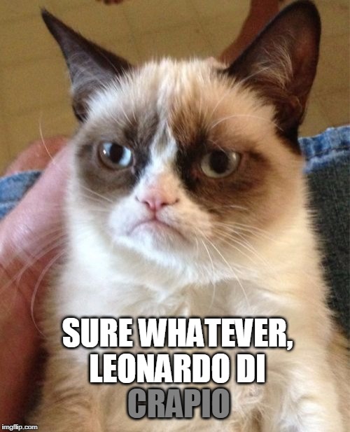 Grumpy Cat Meme | CRAPIO SURE WHATEVER, LEONARDO DI | image tagged in memes,grumpy cat | made w/ Imgflip meme maker