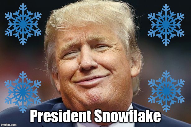 Snowflake | President Snowflake | image tagged in donald trump | made w/ Imgflip meme maker