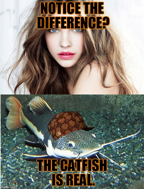 catfish | NOTICE THE DIFFERENCE? THE CATFISH IS REAL. | image tagged in catfish,scumbag | made w/ Imgflip meme maker