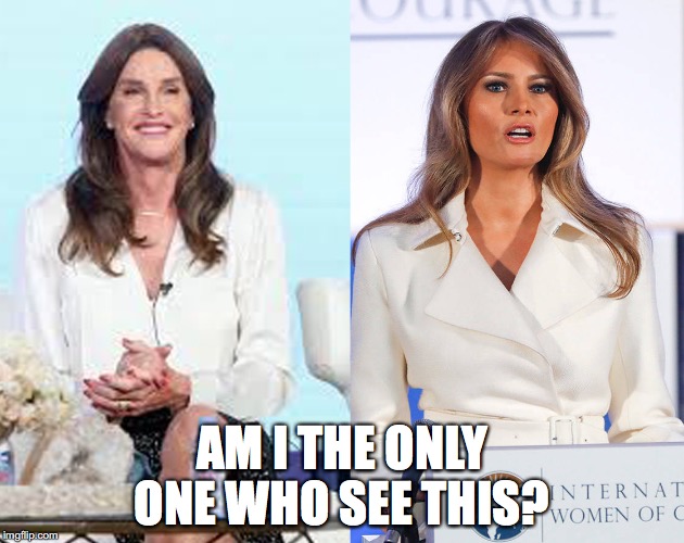 AM I THE ONLY ONE WHO SEE THIS? | image tagged in melania jenner | made w/ Imgflip meme maker