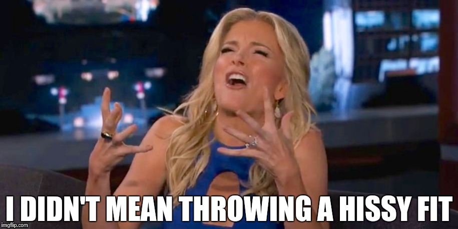 Megan Kelley | I DIDN'T MEAN THROWING A HISSY FIT | image tagged in megan kelley | made w/ Imgflip meme maker