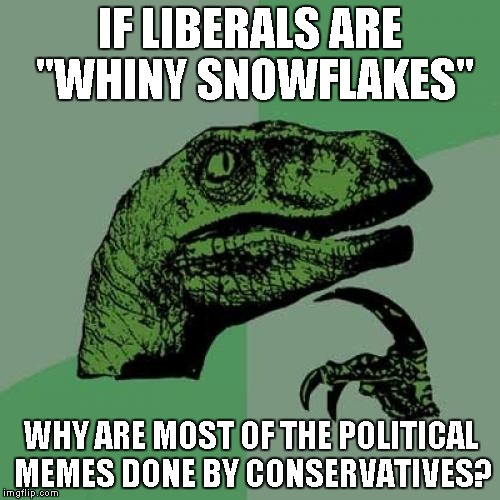 Philosoraptor Meme | IF LIBERALS ARE "WHINY SNOWFLAKES"; WHY ARE MOST OF THE POLITICAL MEMES DONE BY CONSERVATIVES? | image tagged in memes,philosoraptor | made w/ Imgflip meme maker