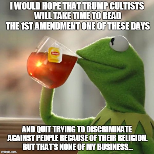 But That's None Of My Business | I WOULD HOPE THAT TRUMP CULTISTS WILL TAKE TIME TO READ THE 1ST AMENDMENT ONE OF THESE DAYS; AND QUIT TRYING TO DISCRIMINATE AGAINST PEOPLE BECAUSE OF THEIR RELIGION. BUT THAT'S NONE OF MY BUSINESS... | image tagged in memes,but thats none of my business,kermit the frog | made w/ Imgflip meme maker