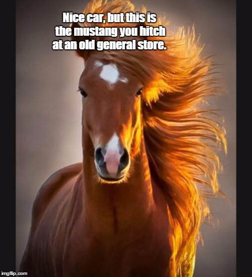 Horse | Nice car, but this is the mustang you hitch at an old general store. | image tagged in horse | made w/ Imgflip meme maker