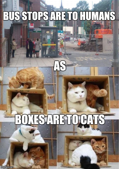 Bus stops are to humans as boxes are to cats | BUS STOPS ARE TO HUMANS; AS; BOXES ARE TO CATS | image tagged in funny,memes,cats,bus stop,humans,boxes | made w/ Imgflip meme maker