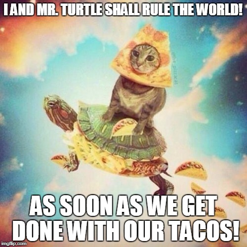 Rule The World! | I AND MR. TURTLE SHALL RULE THE WORLD! AS SOON AS WE GET DONE WITH OUR TACOS! | image tagged in space pizza cat turtle tacos | made w/ Imgflip meme maker