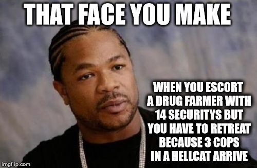 Serious Xzibit Meme | THAT FACE YOU MAKE; WHEN YOU ESCORT A DRUG FARMER WITH 14 SECURITYS BUT YOU HAVE TO RETREAT BECAUSE 3 COPS IN A HELLCAT ARRIVE | image tagged in memes,serious xzibit | made w/ Imgflip meme maker