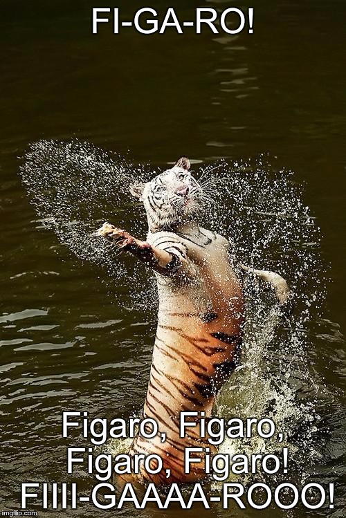 Fabulous Tiger | FI-GA-RO! Figaro, Figaro, Figaro, Figaro! FIIII-GAAAA-ROOO! | image tagged in fabulous tiger | made w/ Imgflip meme maker