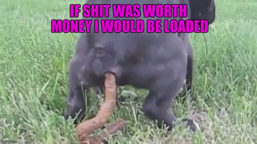 IF SHIT WAS WORTH MONEY I WOULD BE LOADED | made w/ Imgflip meme maker