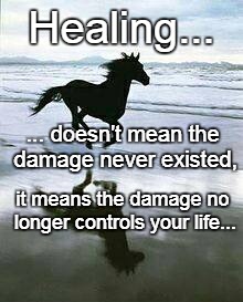 Healing... | Healing... ... doesn't mean the damage never existed, it means the damage no longer controls your life... | image tagged in healing,damage,never,existed,no longer,controls | made w/ Imgflip meme maker