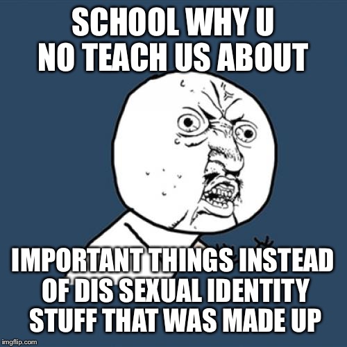 Y U No | SCHOOL WHY U NO TEACH US ABOUT; IMPORTANT THINGS INSTEAD OF DIS SEXUAL IDENTITY STUFF THAT WAS MADE UP | image tagged in memes,y u no | made w/ Imgflip meme maker