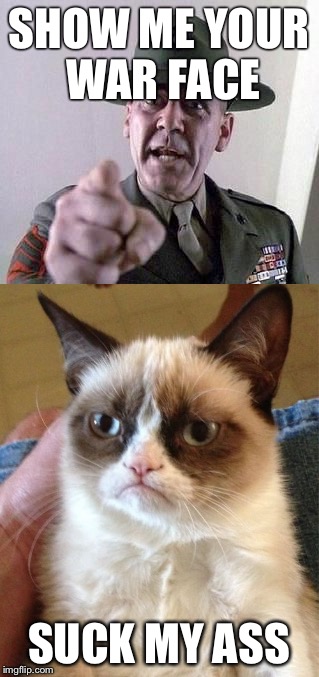 SHOW ME YOUR WAR FACE; SUCK MY ASS | image tagged in grumpy cat | made w/ Imgflip meme maker