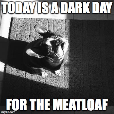 TODAY IS A DARK DAY; FOR THE MEATLOAF | image tagged in dark dog | made w/ Imgflip meme maker