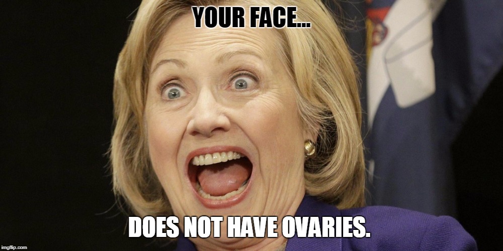 face fak | YOUR FACE... DOES NOT HAVE OVARIES. | image tagged in bj | made w/ Imgflip meme maker
