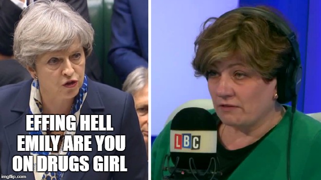 EFFING HELL EMILY ARE YOU ON DRUGS GIRL | image tagged in theresa may | made w/ Imgflip meme maker