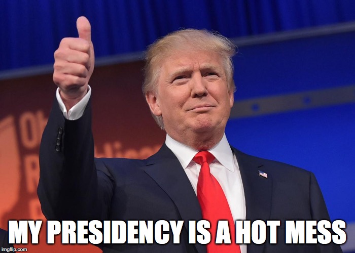 donald trump | MY PRESIDENCY IS A HOT MESS | image tagged in donald trump | made w/ Imgflip meme maker