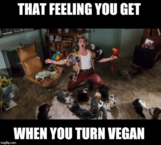 Ace Ventura Animals | THAT FEELING YOU GET; WHEN YOU TURN VEGAN | image tagged in ace ventura animals | made w/ Imgflip meme maker