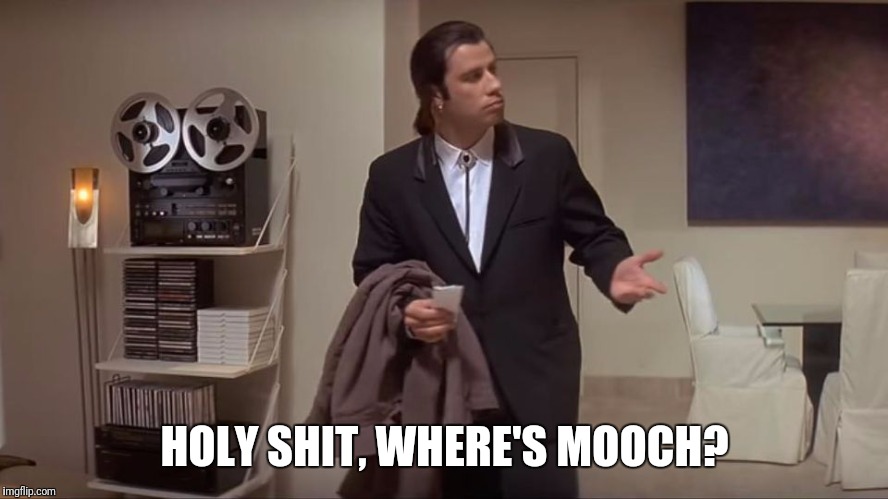 vincent vega confused | HOLY SHIT, WHERE'S MOOCH? | image tagged in vincent vega confused,memes,anthony scaramucci | made w/ Imgflip meme maker