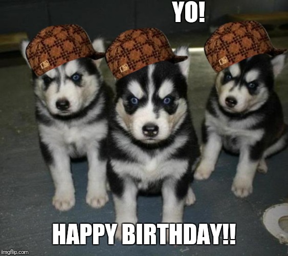  YO! HAPPY BIRTHDAY!! | image tagged in angry puppies,scumbag | made w/ Imgflip meme maker