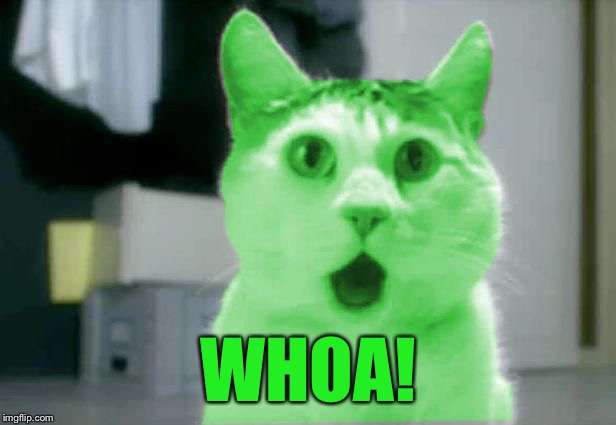 OMG RayCat | WHOA! | image tagged in omg raycat | made w/ Imgflip meme maker