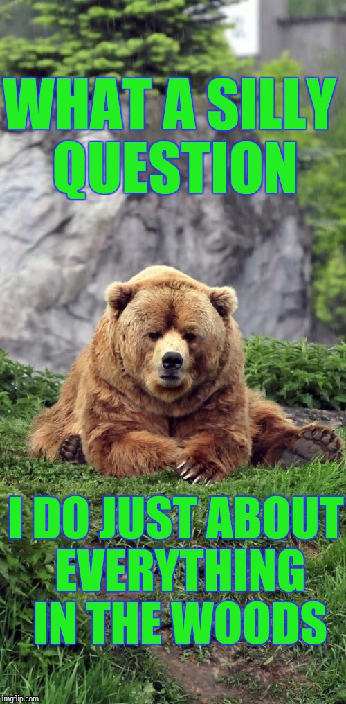 You poop , too . Don't deny it ! | WHAT A SILLY QUESTION; I DO JUST ABOUT EVERYTHING IN THE WOODS | image tagged in grumpy,bear,weird stuff,everything | made w/ Imgflip meme maker
