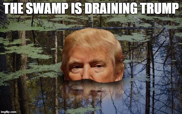 swampy | THE SWAMP IS DRAINING TRUMP | image tagged in swampy | made w/ Imgflip meme maker